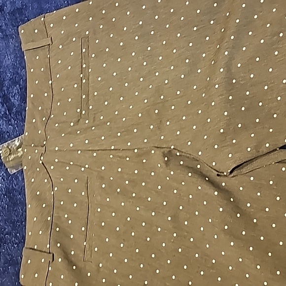 The Limited Stretch Pants - Picture 4 of 5